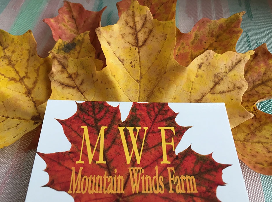 mountain winds farm business card on fall maple leaf